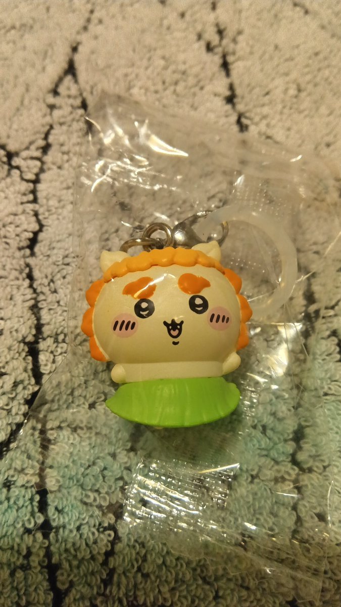 No1_7days's tweet photo. 自引きした！！！シーサーちゃん可愛いねぇ！！ https://t.co/v1EFfFQw9y