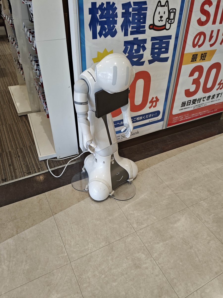 masa66201178's tweet photo. そうか。
お前も疲れたか。
そう肩を落とすなよ。
メシでもいくか？
と声をかけてしまった。 https://t.co/NagruDAQVc