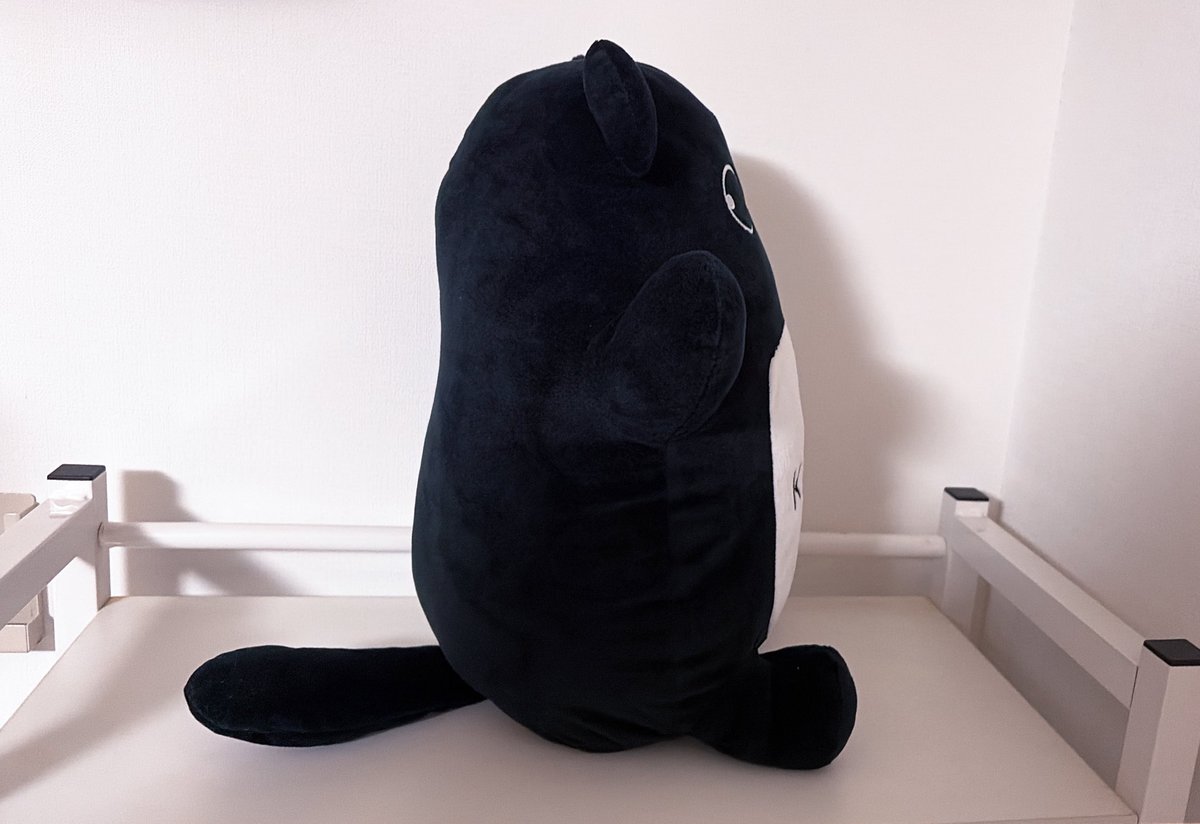 2syaku's tweet photo. ビッグサイズのエゾモモンガ、通販サイトで見た時は綿が少なくてペシャンコなのと正面から見た時の頭の形がイマイチって思ってたんだけど、綿がしっかり入ってモチモチだし形もかわいい！
サンプルはキレイで実物がいま1歩なのは分かるんだけど逆とは思わなかった
きみ、写真写り悪いタイプ？ https://t.co/psB0wnNBYu