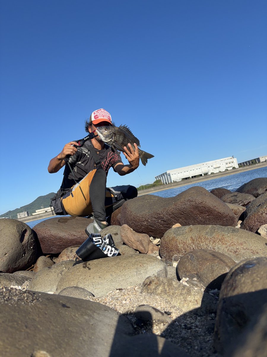 ThewalkingHMT's tweet photo. Then the tide got generous. Three more joined the first two—five in all: 45, 48, 41, 41, and 44cm. A fine hand, if you ask me. I always envied those “holding-the-fish” photos, so today I set the timer and took one myself. No regrets 48years old. https://t.co/q79JFPYNkA