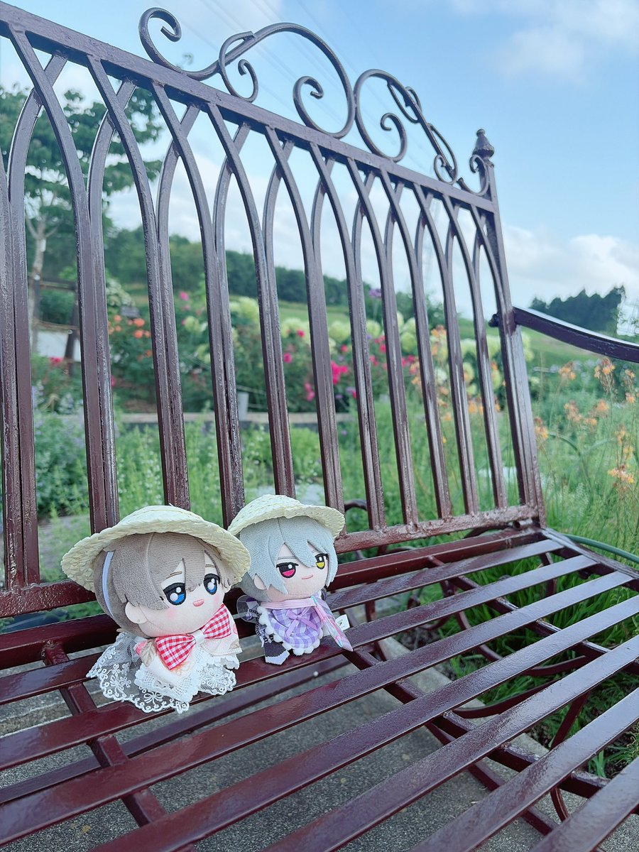 s2_tc_'s tweet photo. ちょん。
#まほやく_ぬい 
#金曜ぬいNight https://t.co/BhYrn3xPJ1
