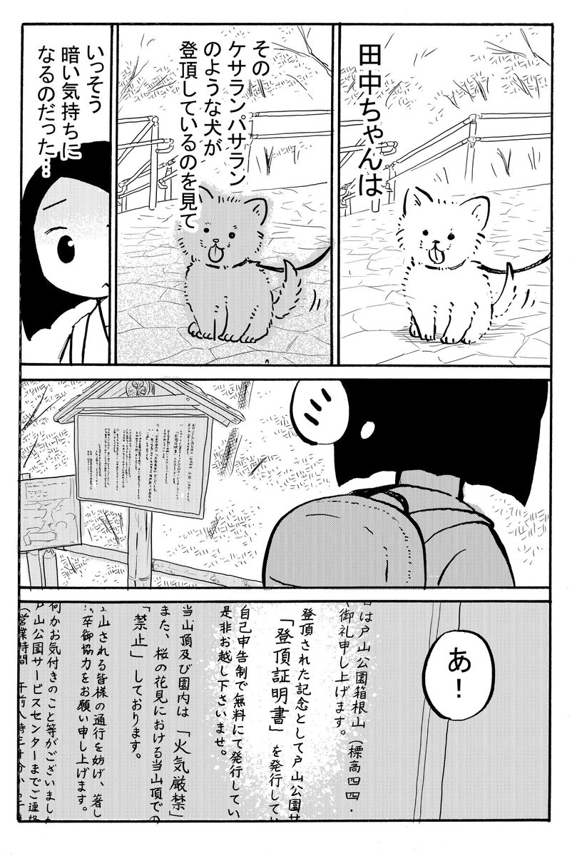 カキ tweet media