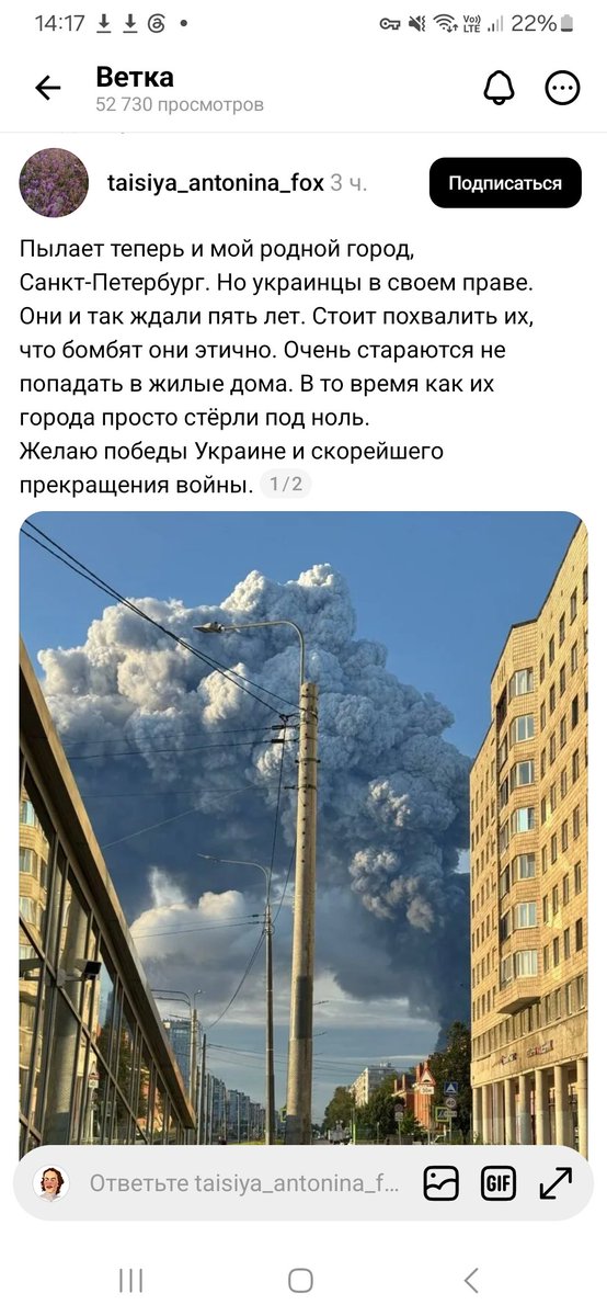 Дикий Петербург tweet media