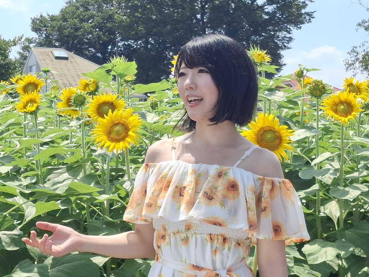 kumasanCP's tweet photo. あっ！
7月27日(月)は渾身のカバー曲｢ひまわり｣のＭＶ撮影を行います。
今回も公開MV撮影になりますが一般人完全封鎖で行われる撮影には許可証が必要です。
参加希望者はhotate@mcp-gr.comに参加希望メールをください。
市役所発行のIDカードを貸し出します。 https://t.co/pGrMszs85l