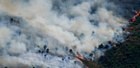 BlogGente's tweet photo. 🧵 ¿Cómo podemos reducir el riesgo de grandes #incendios en los #pinares y montes mediterráneos en un clima cada vez más cálido? La #ciencia apunta a que no existe una solución única, sino una combinación de medidas. Abro hilo👇#incediosforestales https://t.co/MCOwqYxI4d