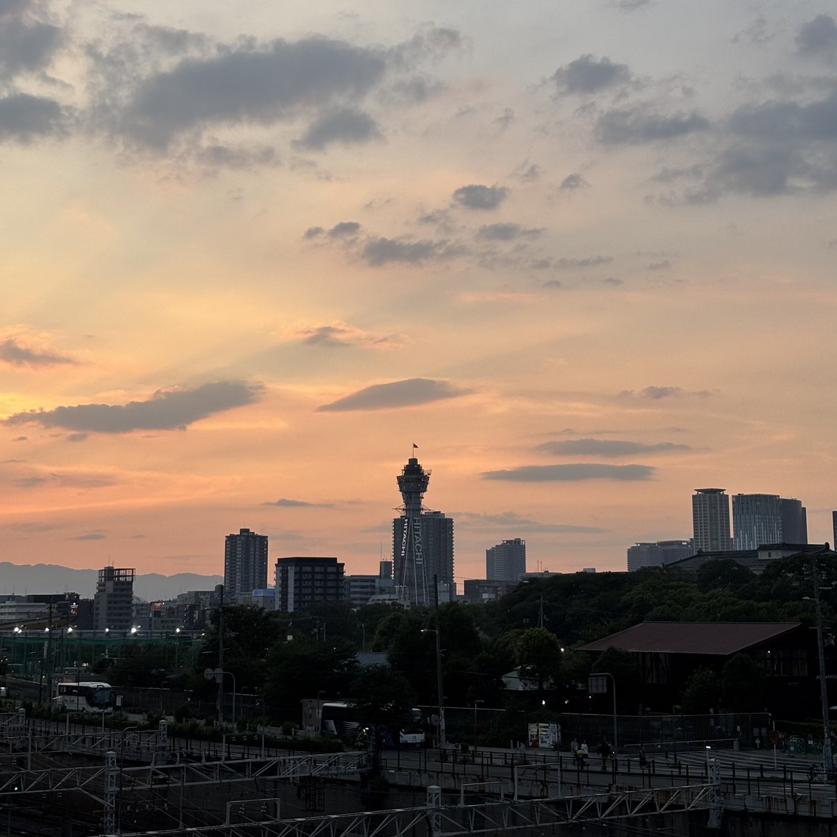 hiro_tamaX's tweet photo. むちゃくちゃ暑いけど夕日は綺麗ですね🌇

皆様、金曜日お疲れ様でした☺️✌️
良い華金ナイトを🤗

#天王寺 #通天閣 #OSAKA https://t.co/tnk338r3pp