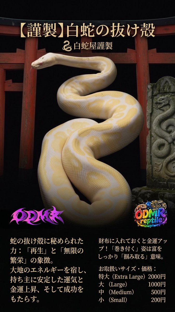 odomiru's tweet photo. 【キナ臭い物販情報解禁】

明日より新物販
『白蛇の抜け殻』を販売致します。
OD reptile監修のとても縁起の良い代物であります

一人でも多くの方に幸運を届ける為、格安でご提供‼️
数に限りがあるのでお早めに‼️
（特大は1つのみ）

※抜け殻を財布に入れてパチ行ったら3回転で万発でました🤡ﾍﾟｶ https://t.co/62jxVAtFGo