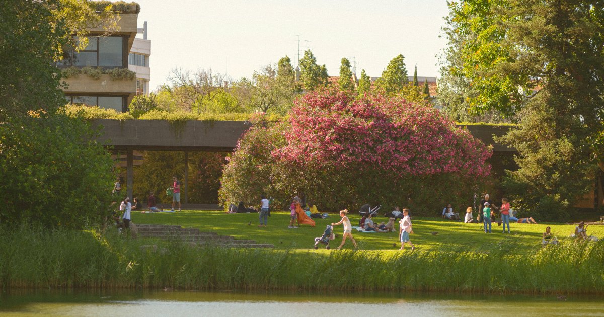 visitportugal's tweet photo. In the heart of bustling Lisbon lies the @FCGulbenkian  Foundation, a cultural oasis where art, nature and music converge. Take the opportunity to visit the impressive Centro de Arte Moderna (CAM) and the recently renovated Calouste Gulbenkian Museum 1/1
 https://t.co/QVd6Xqb0Lw https://t.co/ddN0LWSRul