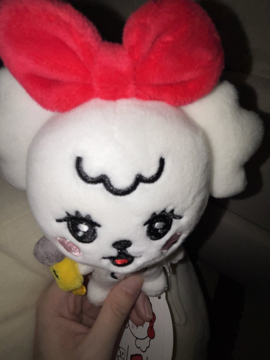 na2much's tweet photo. I am finally the proud owner of a pposhasini…! https://t.co/OxE9Gmgg5d