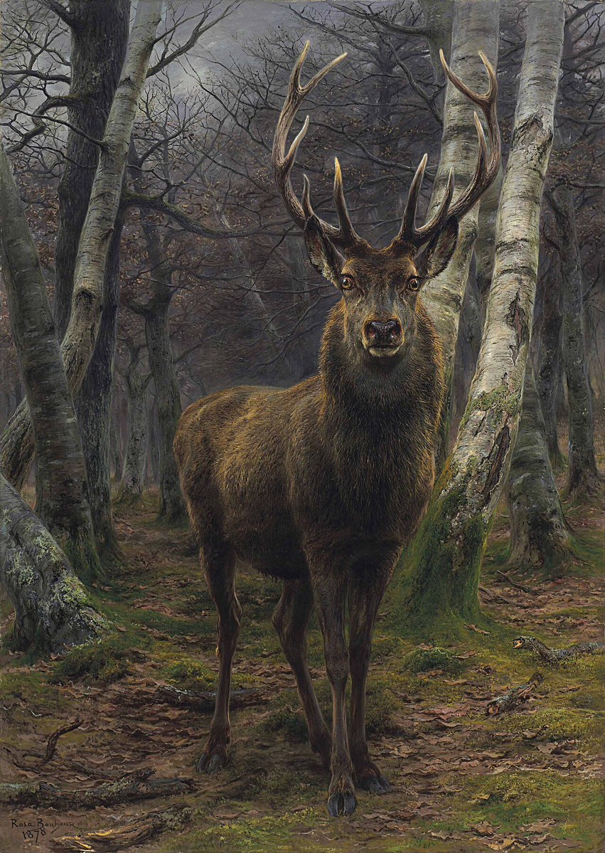 wjosephoconnell's tweet photo. 𝘒𝘪𝘯𝘨 𝘰𝘧 𝘵𝘩𝘦 𝘍𝘰𝘳𝘦𝘴𝘵 is an 1878 oil painting by Rosa Bonheur 🇫🇷

The work is held in a private collection and was exhibited at the Musée des Beaux-Arts de Bordeaux in 2022, and at the Musée d'Orsay until January 2023. https://t.co/dxLzDvs3RT