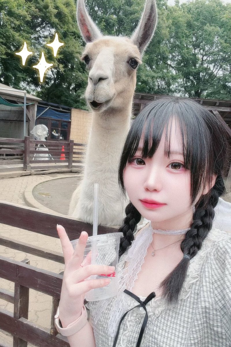 たまぼん tweet media