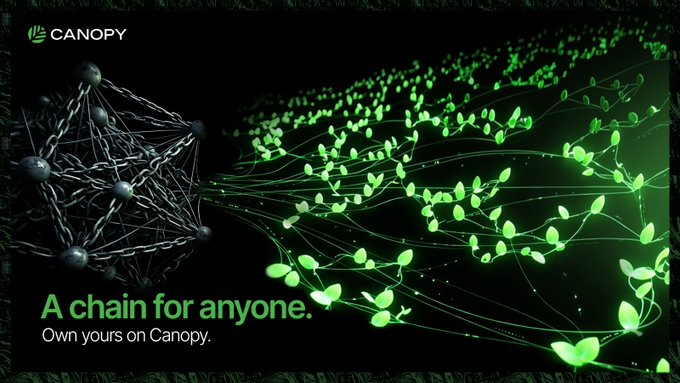 hesamd1's tweet photo. what i appreciate about @CNPYNetwork is the approach to reducing blockchain complexity.

using readable code ai assisted workflows and integrated deployment tools creates a practical experience for builders.

looking forward to seeing more projects launched through this model. https://t.co/IAdO8xiHu6