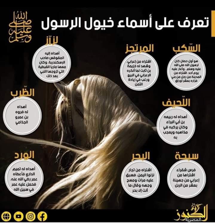 taimullah7's tweet photo. كمثل السيارة في وقتنا https://t.co/vHOGQeNIly