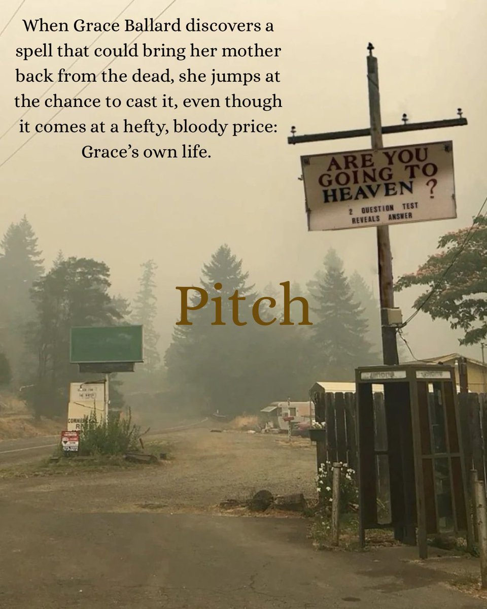 maddywritesish's tweet photo. #agentsguide to BLUE MOUNTAIN WITCHES! It is a standalone YA fantasy with series potential, complete at 100k words. 
#questpit #Q #YA #F https://t.co/8qZ6eVXsDS