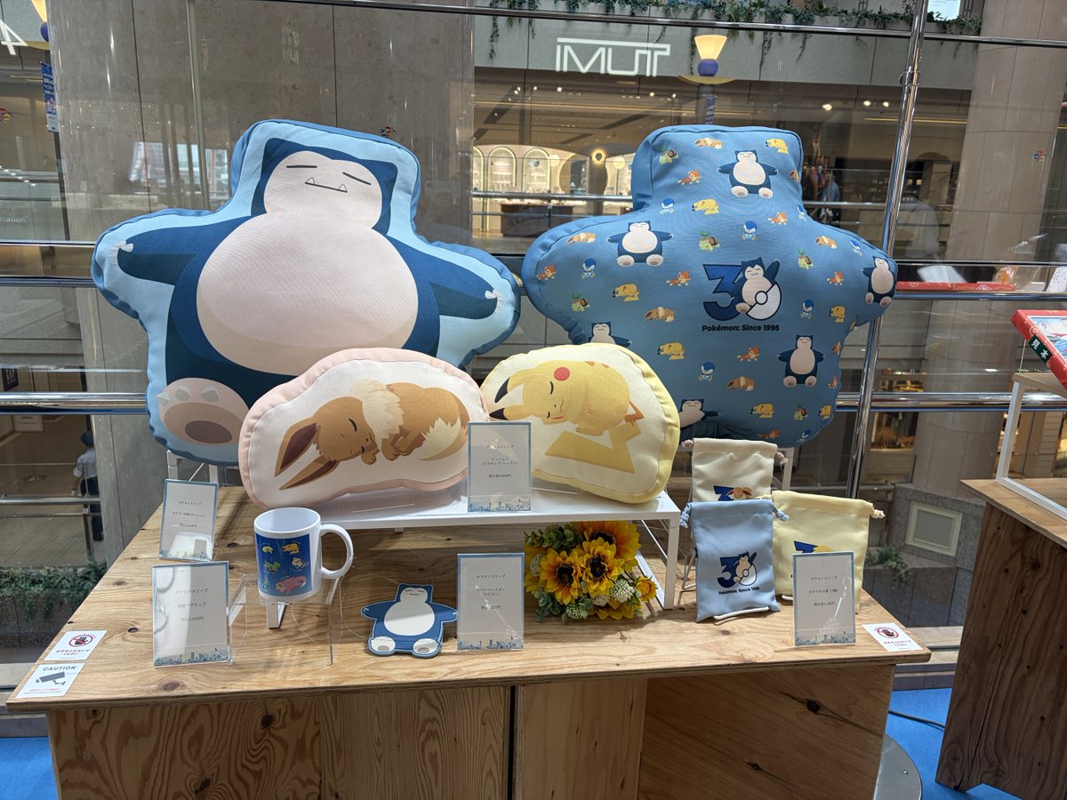eell58's tweet photo. 眠るポケモンとポケモンの枕。 https://t.co/sbChduAPuB