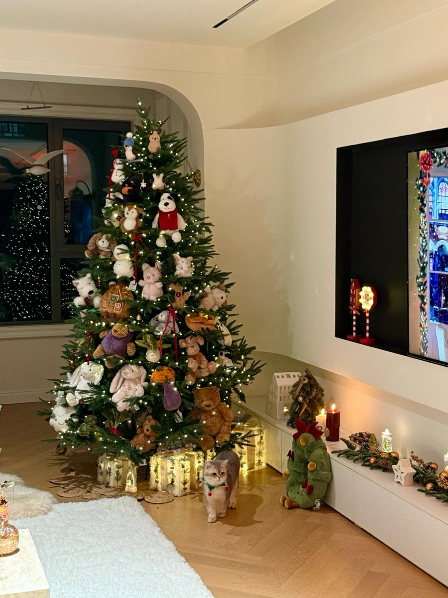 HootsTrent's tweet photo. Counting down to Christmas Eve! Hot cocoa, cozy fires, and tiny magic moments ahead  #ChristmasVibes， https://t.co/UlgY3BEibk