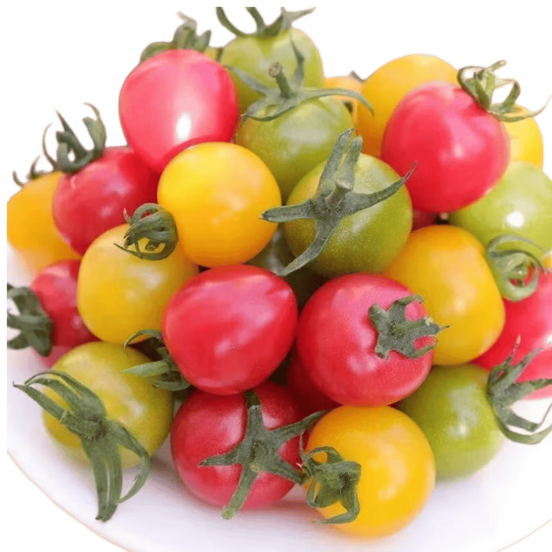 FallonKisijf's tweet photo. Just tried the imported cherry tomatoes from Spain—bursting with sweet juice, no sour aftertaste at all! Perfect for weekday salads or quick snacks. Will definitely restock!， https://t.co/NzeeYBCJDY
