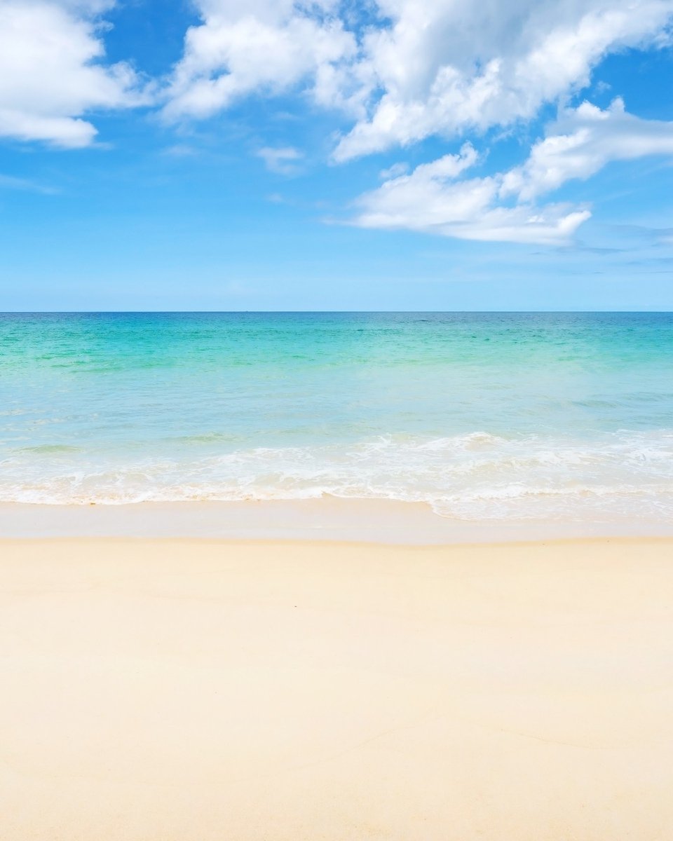 FlyORF's tweet photo. It's Self-Care Day 🫂

Our day looks like:
☕  Coffee
🎧 Our favorite playlist
📖 A good book (or pretending to read while people-watching)
💺 Window seat
✈️ A nonstop to white sandy beaches (like Cancun on @BreezeAirways!)

Whatever your travel day might look like, we hope you take a moment for self-care 💙