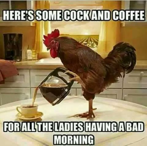 smaugrunner's tweet photo. @AmberLily Good morning, Gorgeous Mrs. Amber. 😁😘 https://t.co/DlGPGPiOgY