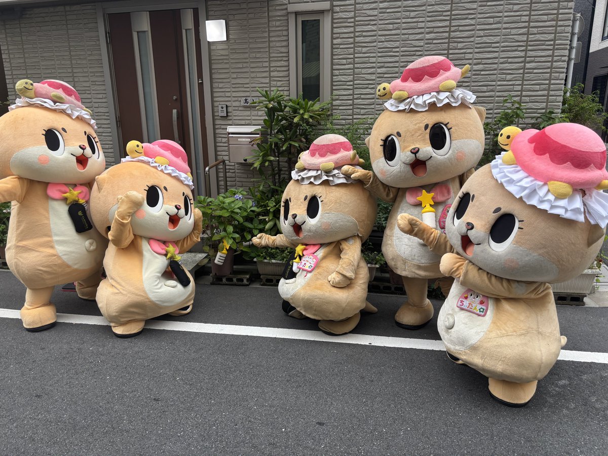 ちぃたん☆／Chiitan (@chiitan7407) / Posts and Replies / X