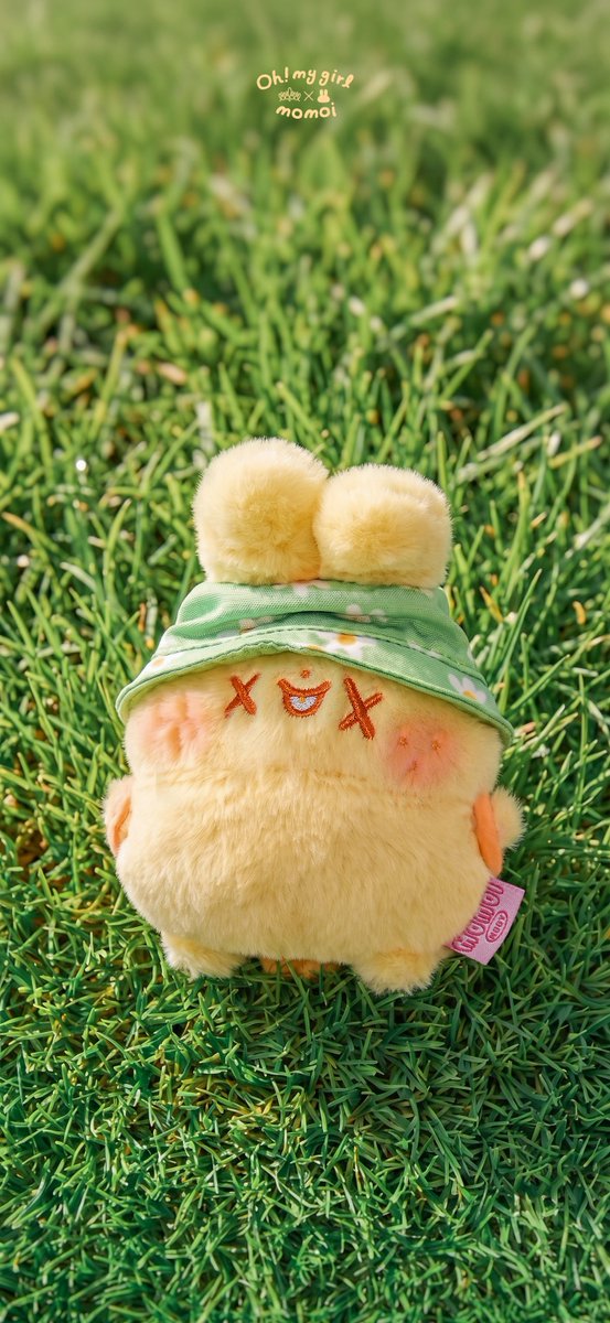 momoi1990's tweet photo. 💛🤎🩷💜
보송보송한 모모이 인형들 폰배경으로 만들어왔어요!
여러분은 주말동안 어떤 취향으로 하루를 꾸밀 계획인가요✨️ https://t.co/nIlHwlTiOo