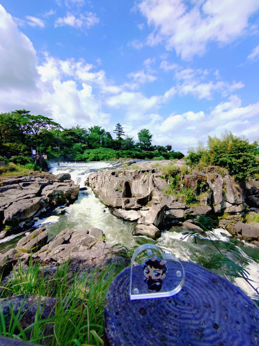tailmaru7's tweet photo. 涼しく見えるけど……
あちあち

#うさぴと一緒 https://t.co/ENcjsCKxRF
