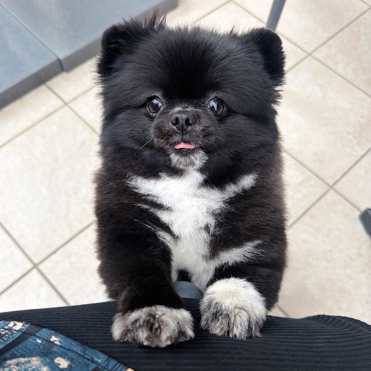 kutsu_shigatanu's tweet photo. ご査収ください https://t.co/0BDVY8htJk