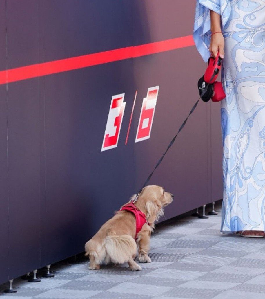 MKkeepF1's tweet photo. Leo😭😭 https://t.co/n03ZpGSeSo