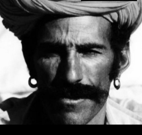 zagroKrantikari's tweet photo. He thinks they've the same nose. Lol lmao. Insane dimwits https://t.co/12atdpz7FR