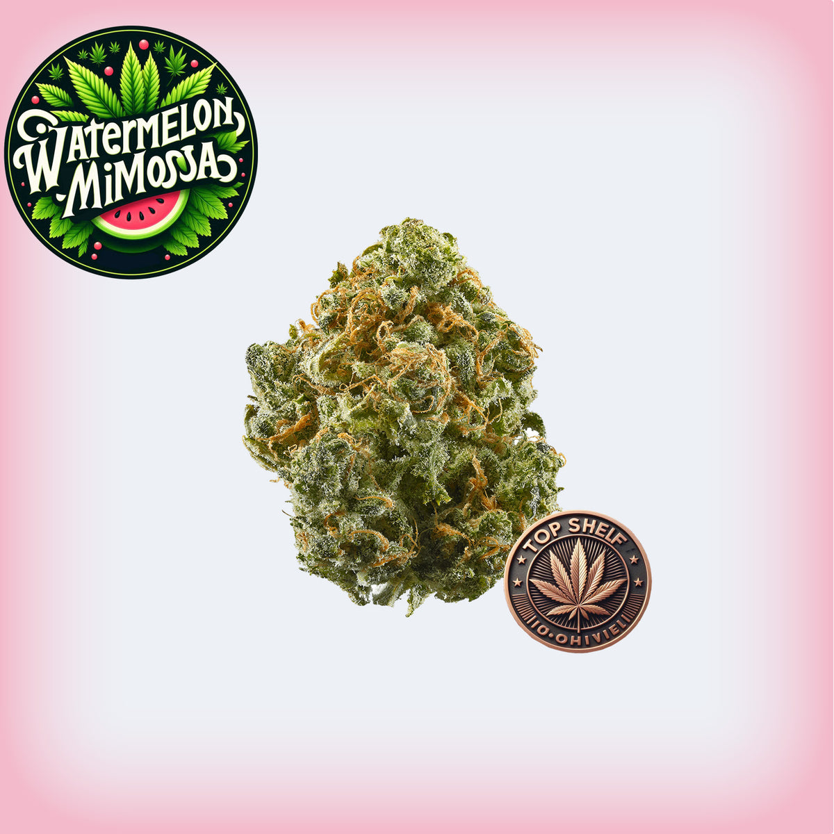 Islandroots_'s tweet photo. 🔥 The Watermelon Mimosa Premium Flower is the top pick for its unique flavor and high quality. Shop now at Island Roots! #premiumflower #toppick https://t.co/GoiZgtJZP5