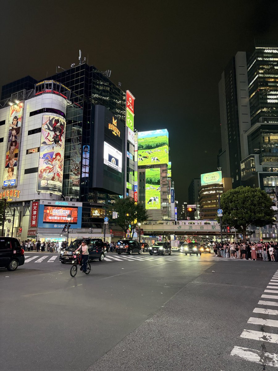 adoa_dokidoki's tweet photo. 渋谷は相変わらず賑やかだ。こちら側からあまり映さんよねー。スクランブル交差点。 https://t.co/LbS3zKXvmp