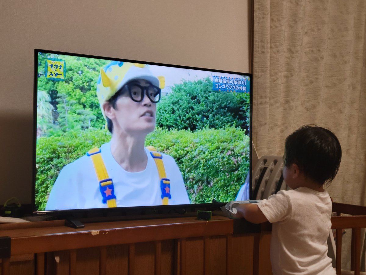KoBash_PingPong's tweet photo. 中学総体は関東進出ならず、
ホカバは、カブ予選リーグ3位敗退
バンビ予選リーグ1位で明日に繋がりました🔥

私は引率していませんが、留守番でレッスンしながら遠くで応援してます🏓

出場者の皆さん頑張って下さい☺

かなり緊張していたとの事なので、
会場の雰囲気を味わえただけでも良い経験ですね👣

その後の行動に新たな変化が生まれてくれると嬉しいです😊

今は魚と車にハマっていますが、
もう少し大きくなったら一応卓球もやってみるかダメ元で聞いてみます🛌

それではおやすみなさい🌒