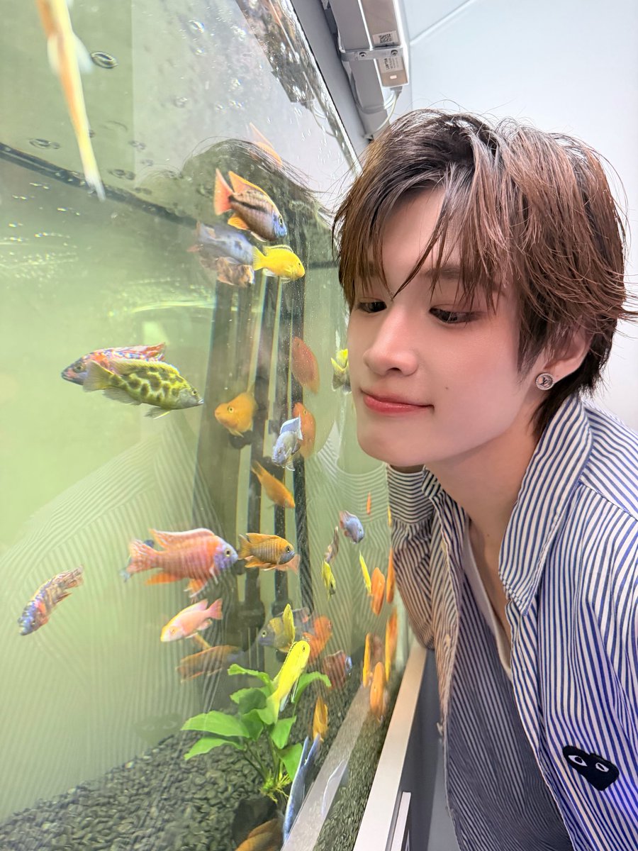 natasittttt's tweet photo. เย็นแล้วอย่าลืมทานข้าว ทานปลากันโด้ยน้าา 
#natasitt https://t.co/a7HsVp9Qu8