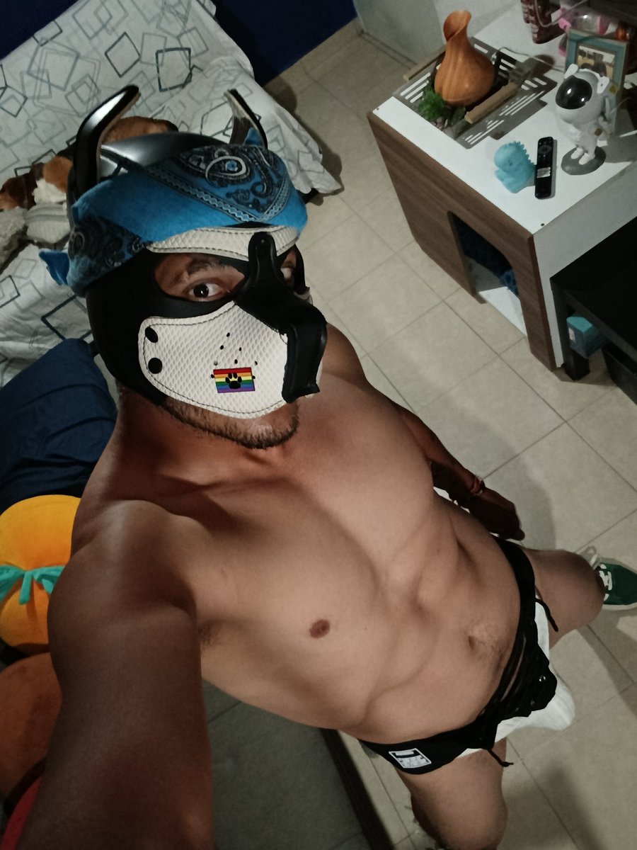 Thepupmike's tweet photo. Woof morning 🫂🐾🐶✌🏻

#gaypup #gaypuppy #puppyplay #pupplay #humanpup #humanpuppyplay #puppypride #gaypupplay https://t.co/SdSzG3MvaJ
