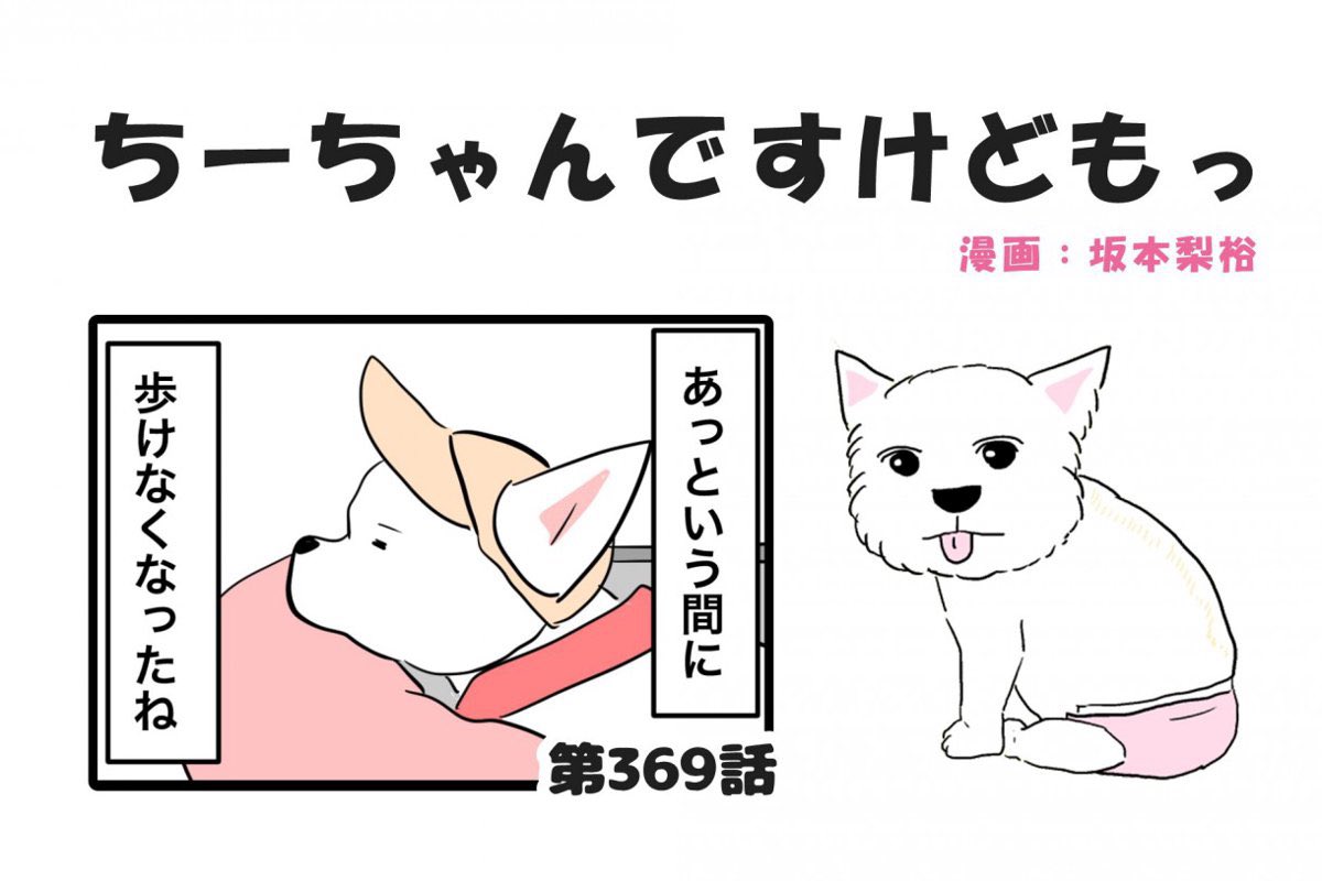 ymc_cheezu's tweet photo. あっという間に歩けなくなったね

できなくなったことは増えたけれど、
変わらず、たくさんの幸せをくれています。

飼い主として今、思うことを漫画に書きました。

#シニア犬 #老犬介護 #犬のいる暮らし #ハイシニア犬 #ワンちゃん本舗 https://t.co/EeTf7KoAJn