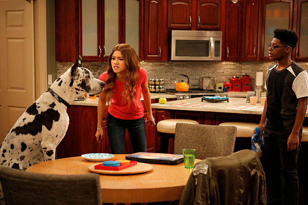 Disney_Wiki's tweet photo. Today marks the 10th anniversary of the #KCUndercover episode, "Sup, Dawg?", written by Eileen Conn and directed by Kadeem Hardison.
When K.C. has to catch a ring of criminals smuggling fireworks, she reluctantly has to take on a new partner, canine spy, Dexter. https://t.co/wXmunOIlix