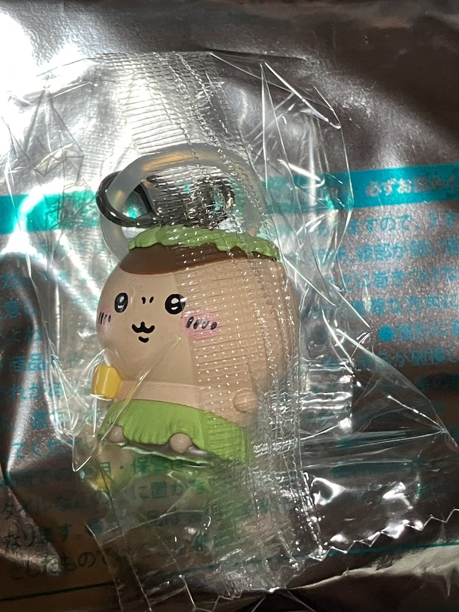 taigatouch171's tweet photo. ラッコ https://t.co/txDTfgp8hh