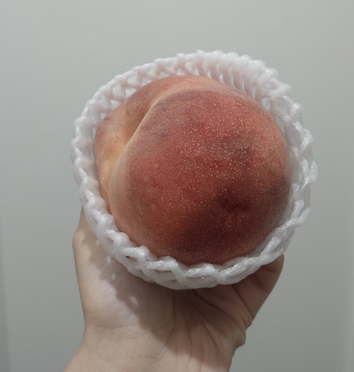 chipmunk_polo's tweet photo. 桃をもらったのでカプレーゼを作った、桃美味しい🍑 https://t.co/0epBtbHszZ