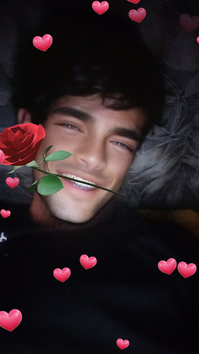 DylanzzzzP's tweet photo. Sweetie fox por favro casate conmigo te conozco desde el 2023 y desde ahi me flechaste por favor te lo ruego andale andale casate conmigo porfa eres la unica mujer que nunca me ah echo daño porfaporfaporfaporfapornoporfa andale(ignoren esta bullshit) https://t.co/syL7szIYm8