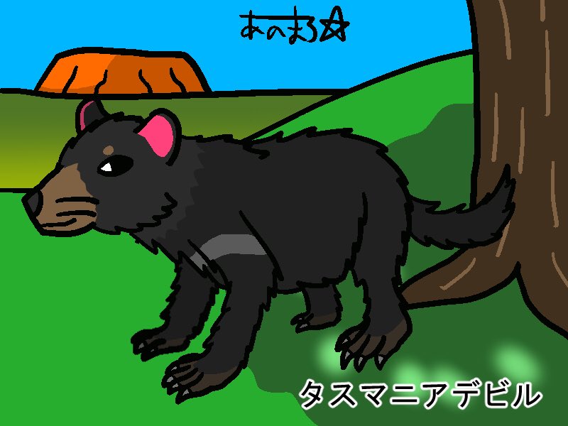 anomalo_star's tweet photo. ：タスマニアデビル：
：Sarcophilus harrisii：
タスマニア島に生息している肉食の有袋類です。体長60cm前後、体重6〜8kg。獲物の骨を噛み砕く事が出来ます。かつてはオーストラリアにも生息していましたが、3000年ほど前に絶滅しました。
＃あのまろスター　＃絵描きさんと繋がりたい https://t.co/MKZxwKPVcb