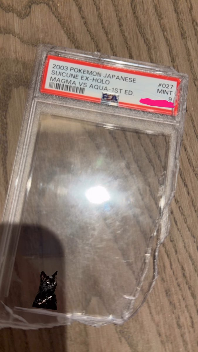 godmitzu's tweet photo. MOMO'S SUICUNE POKEMON CARD WAS A PSA 9 BUT SHE BROKE OPEN THE SLAB JUST TO PUT IT IN HER PHONE CASE AND ON HER FACE 😭😭 https://t.co/eSBtnJZcJO