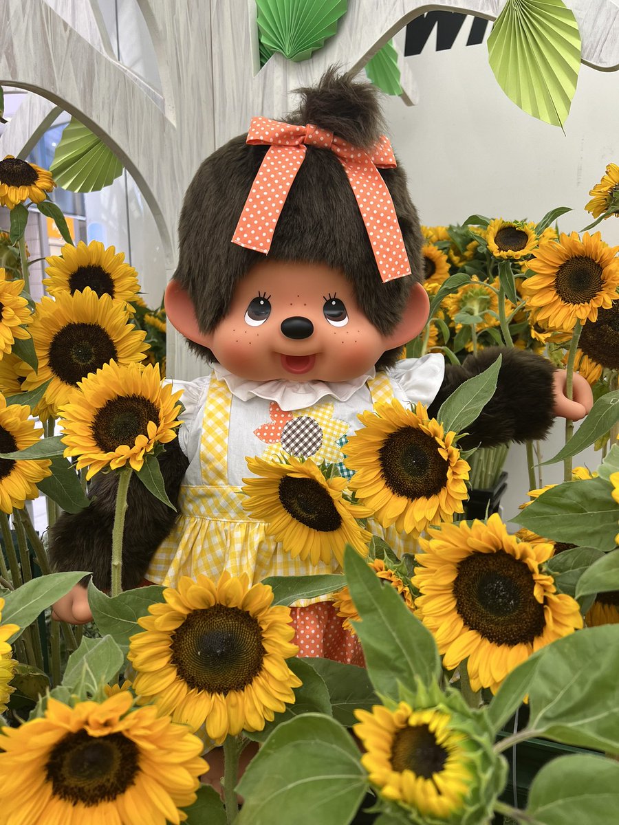 emiemismil's tweet photo. 🐵🐵またまたモンチッチ〜🐵🐵

夏の ひまわりとモンチッチ🌻
私も小学生の頃 持っていて
布団かぶして隣で寝てました（遠い目）
はぁ〜可愛い過ぎる〜💛

#ホワイティうめだ https://t.co/Iw4ZIFyLvr