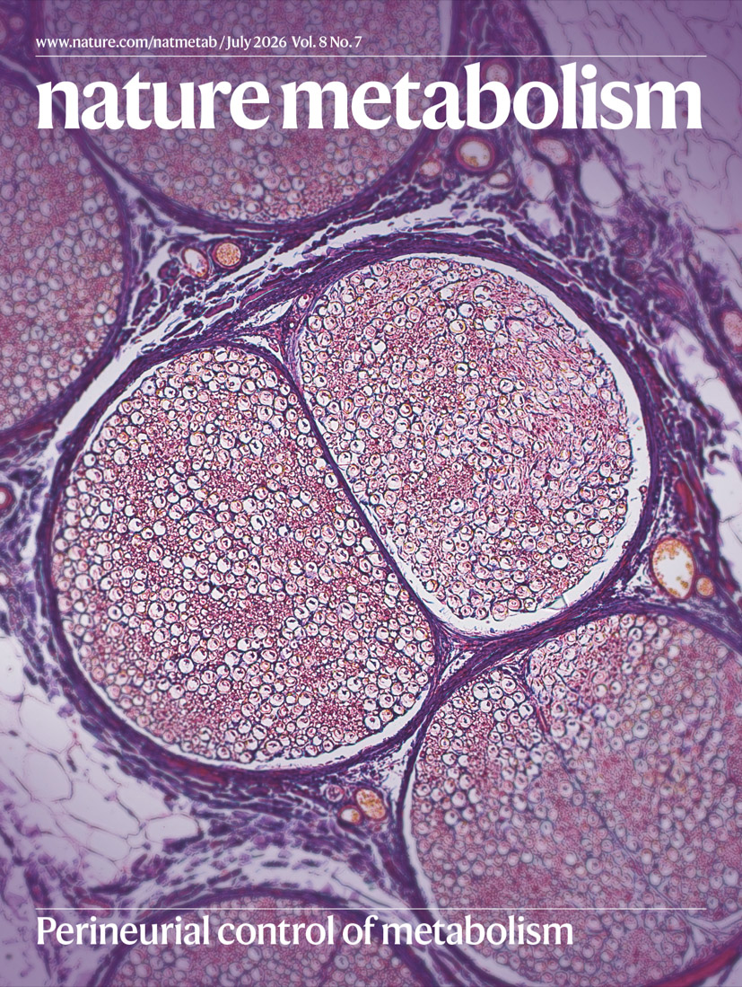 NatMetabolism's tweet photo. ✨New issue✨

Check out the latest in #Metabolism research from across all disciplines

Read about #PMOS, #PerineurialCells, #GLP1RAs, #MASLD, #PancreaticRemodeling, #Mitochondria and many more topics! 🧪🐭👥

https://t.co/6zA9chuA0A https://t.co/NjGxdOS9Rv