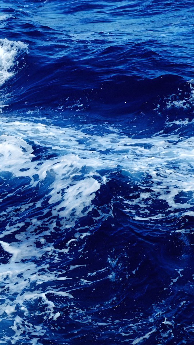 gardenofcolours's tweet photo. deep blue 🌊 https://t.co/SPcBfcagar