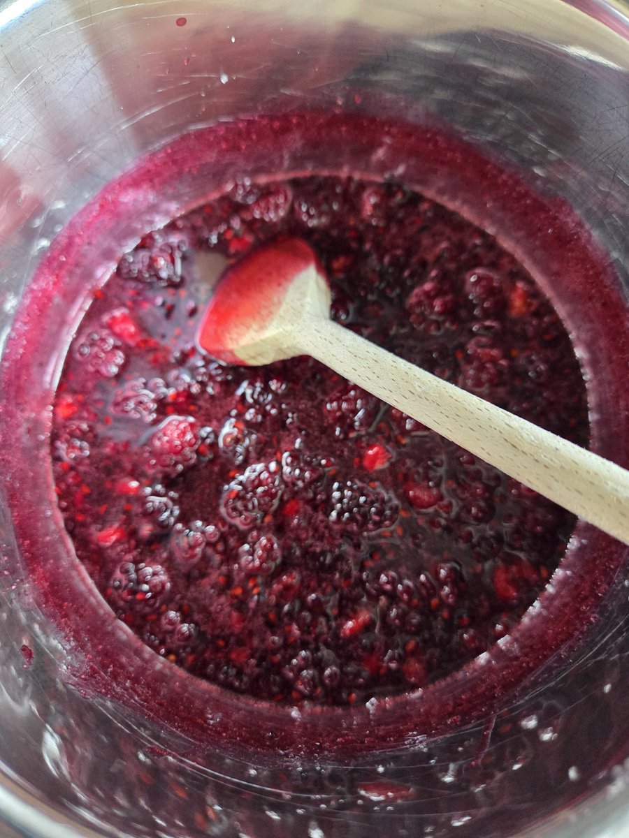 MyrthevanGestel's tweet photo. Goedemiddag 😊
Eerste keer bramen jam aan het maken❤️
Ben heel benieuwd straks naar het resultaat.
#nature #eigentuin #jam https://t.co/qJ9lbjyake
