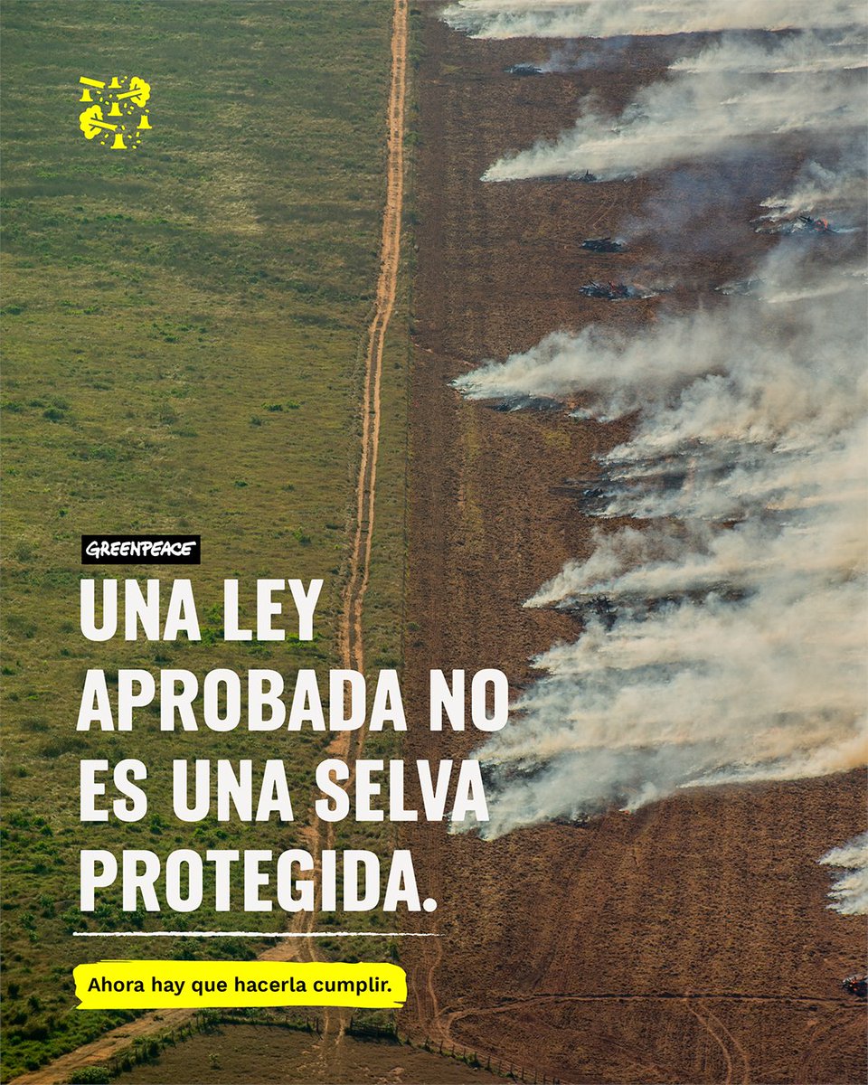 GreenpeaceColom's tweet photo. Colombia ya cuenta con la Ley 2585 de 2026, que permitirá conectar información ganadera, ambiental y predial para combatir la deforestación.

Es una victoria impulsada también por más de 16.000 personas que se sumaron a Saber protege la Amazonía.

Pero el verdadero cambio comienza ahora.

La información debe ser pública, los controles deben funcionar y las empresas deben responder por el origen de lo que comercializan.

Firma para exigir que la ley se implemente y se cumpla.
https://t.co/XSPpuIU9AE

#SaberProtegeLaAmazonía #Amazonía #Deforestación #GreenpeaceColombia