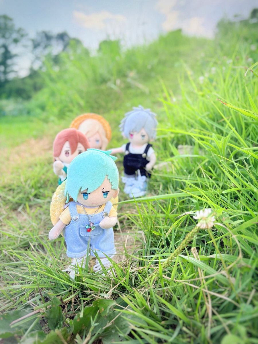 naitatsuki's tweet photo. 夏の草むら探検隊🌿
「アイアイ、何かいたー？」 https://t.co/4HFNHvhGTT