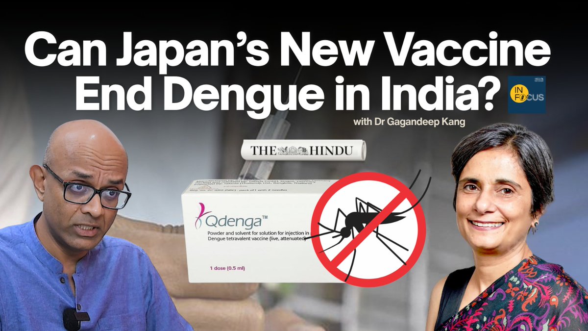 the_hindu's tweet photo. India’s approval of QDENGA, a dengue vaccine by Takeda Biopharmaceuticals, offers hope against rising cases. In this episode, @GKangInd discusses its potential impact and safety.
Host: @samzsays 
Producer and editor: @heyjudeweston

https://t.co/LkiLV5zPxd https://t.co/NAy3e77Chh