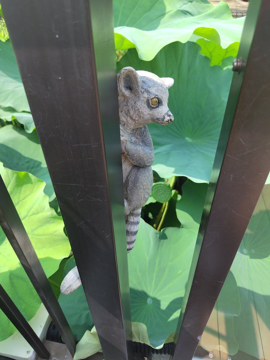 toraneko285's tweet photo. 上野動物園から見た不忍池 https://t.co/VIkj8IYjIe
