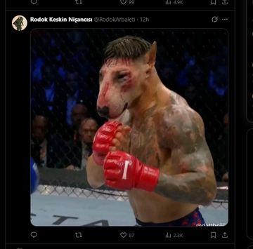 boolishdeployor's tweet photo. HOLY FUCK I FOUND SOMETHING SUPER GENERATIONAL

This dog named Bean is going GIGA VIRAL on X with almost 3M+ VIEWS already in under 24 hours

He literally looks like he came out of a PS2 Video Game

PEOPLE ARE MEMEING HIM IN THE COMMENTS JUST LOOK AT THEM! https://t.co/1eitddtJux